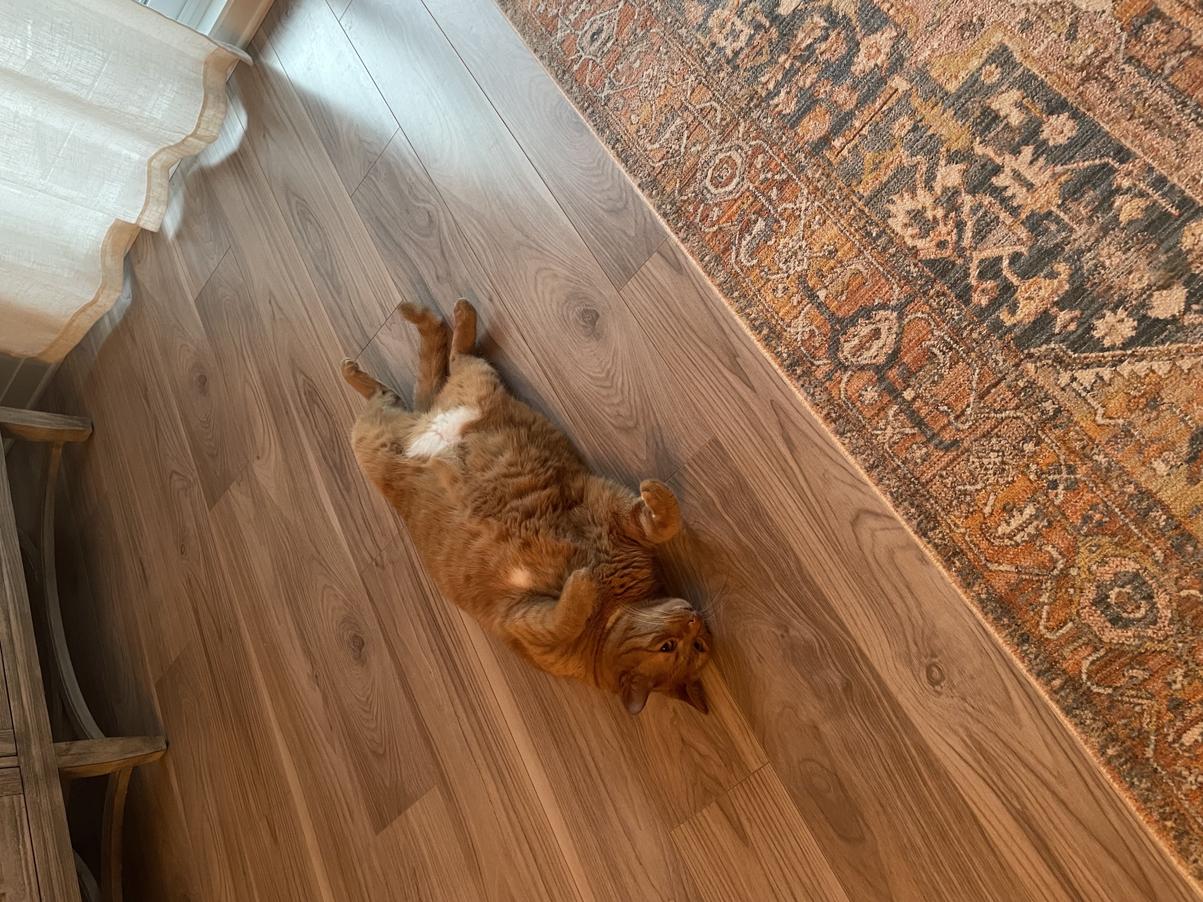 IMG_1596.jpeg