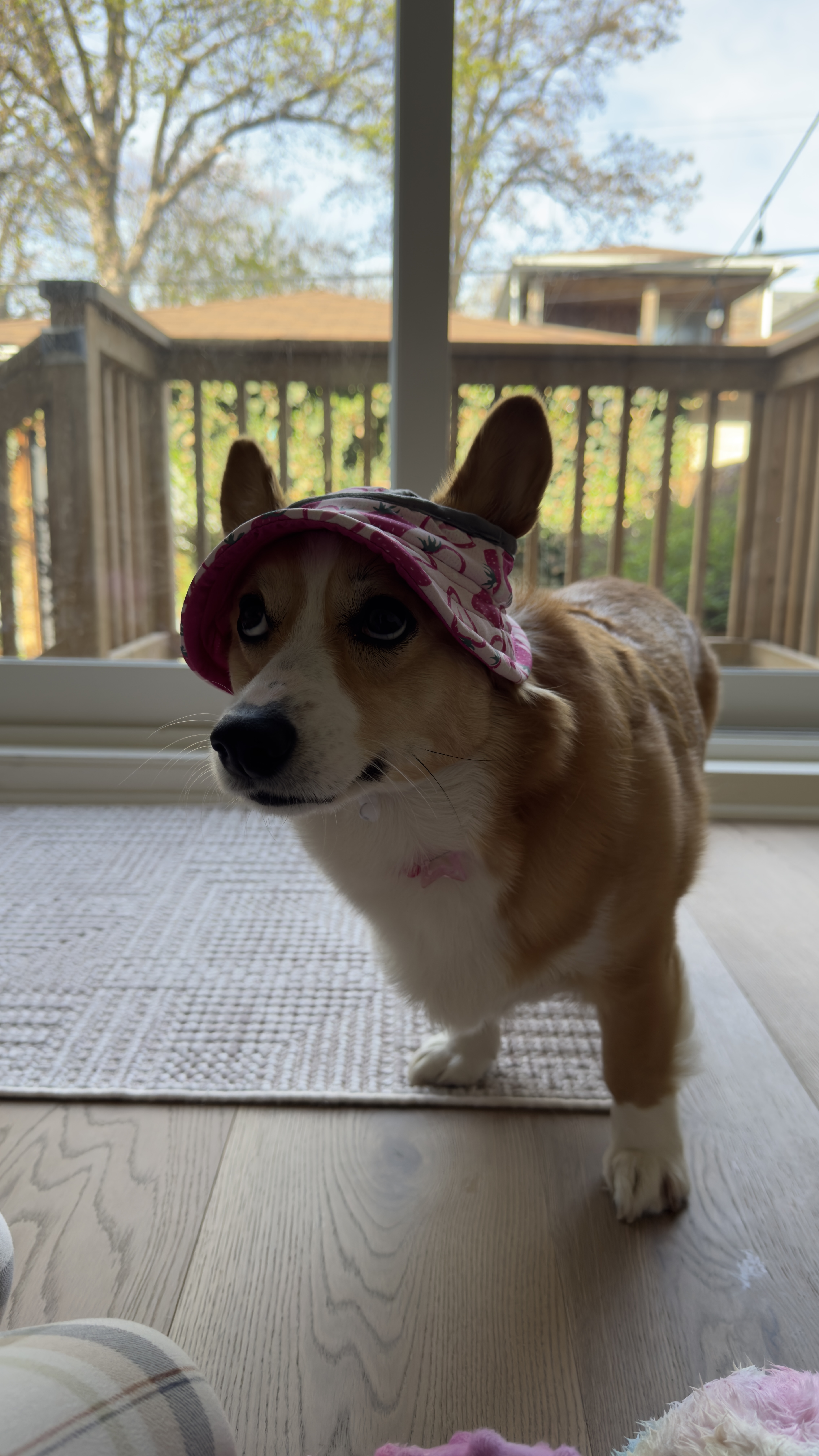 IMG_6056.jpeg