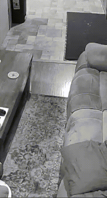 Living_Room_-_November_23_2025_11_37_12_PM2.gif