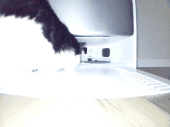045c2bc3d4804df727fe9e34fe93b8c0.gif