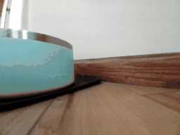 1768688119748863.gif