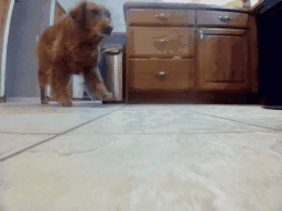1774298198095984.gif