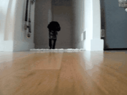 1769013169696268.gif