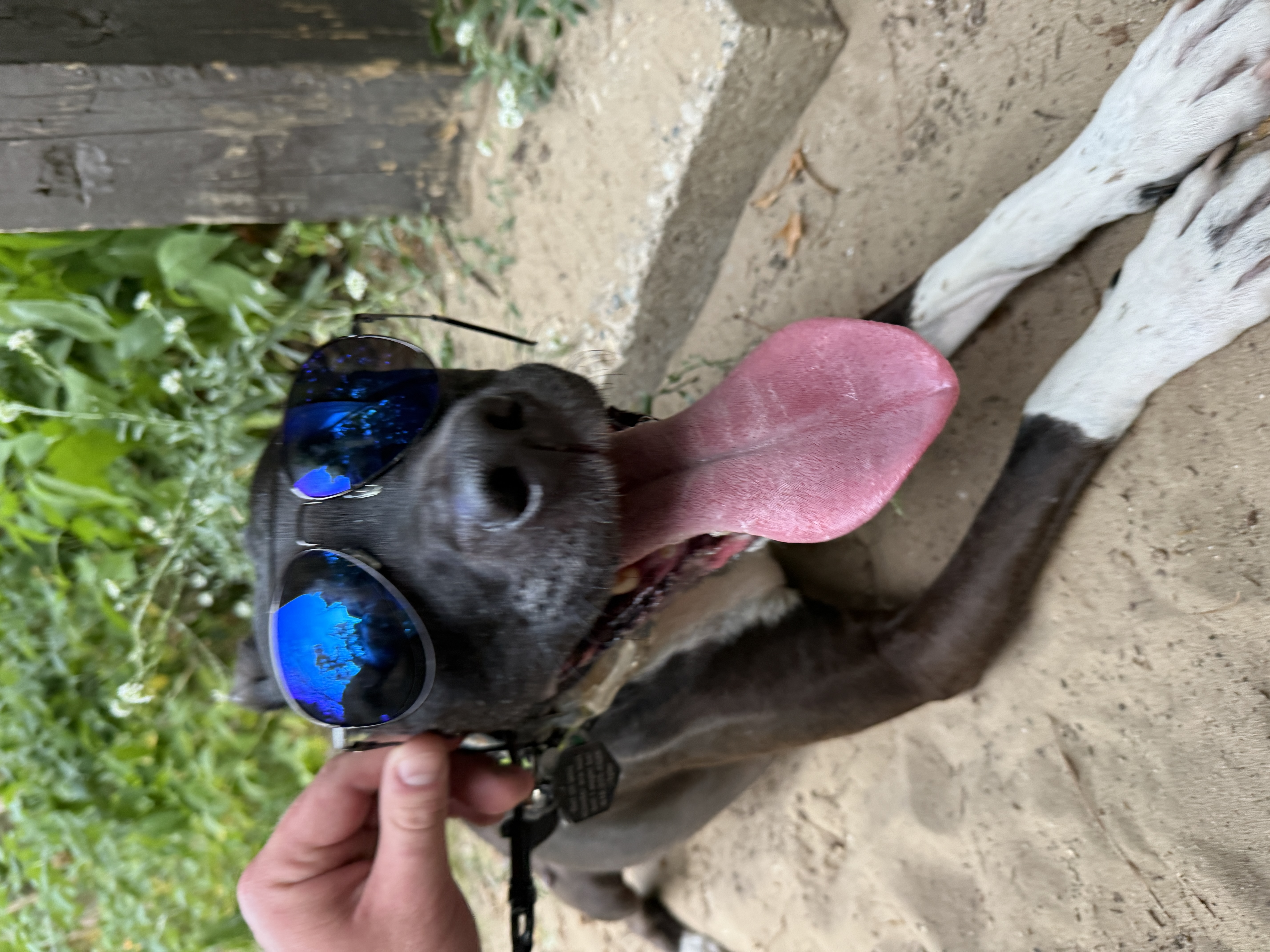 IMG_0179.jpeg