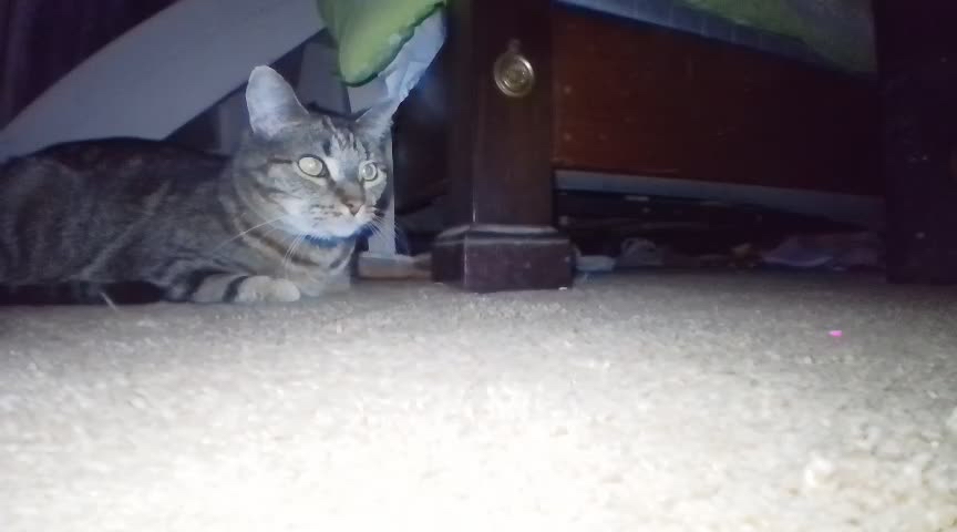 852f1db2460185dff98a2b93ab7f01fa.jpeg